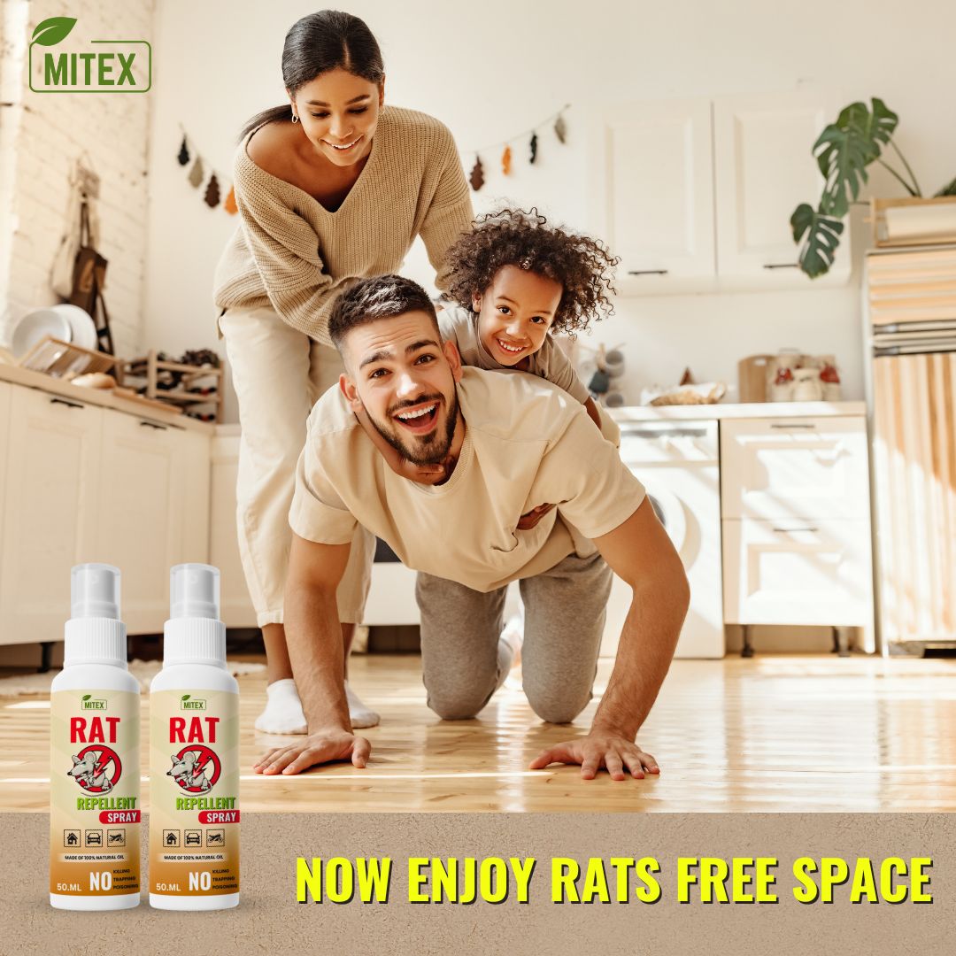 Rat Repellent Spray – Safe, Effective, and Eco-friendly.